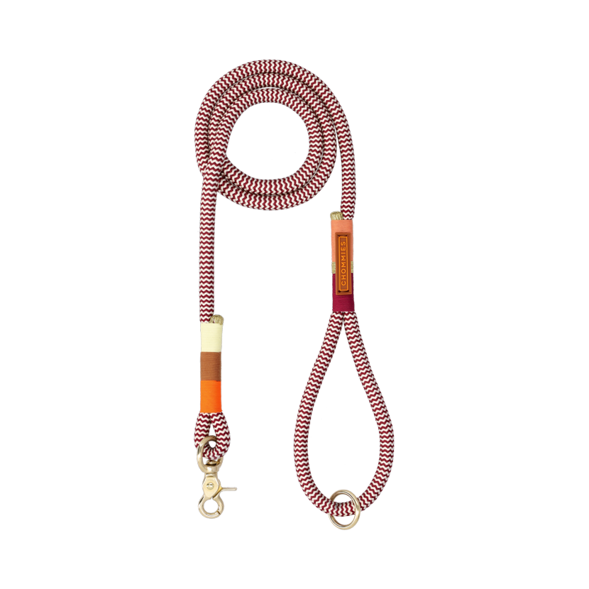 Everyday Dog Leash | Rope