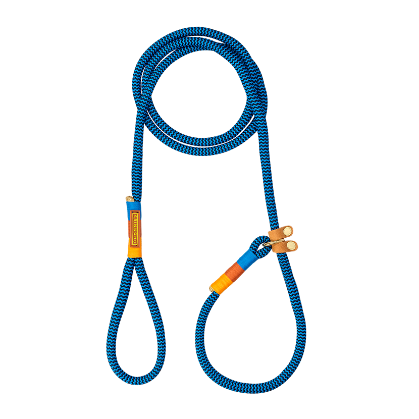 Slip-On Dog Leash