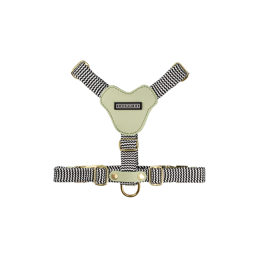 Adjustable Leather Dog Harness | Buchu
