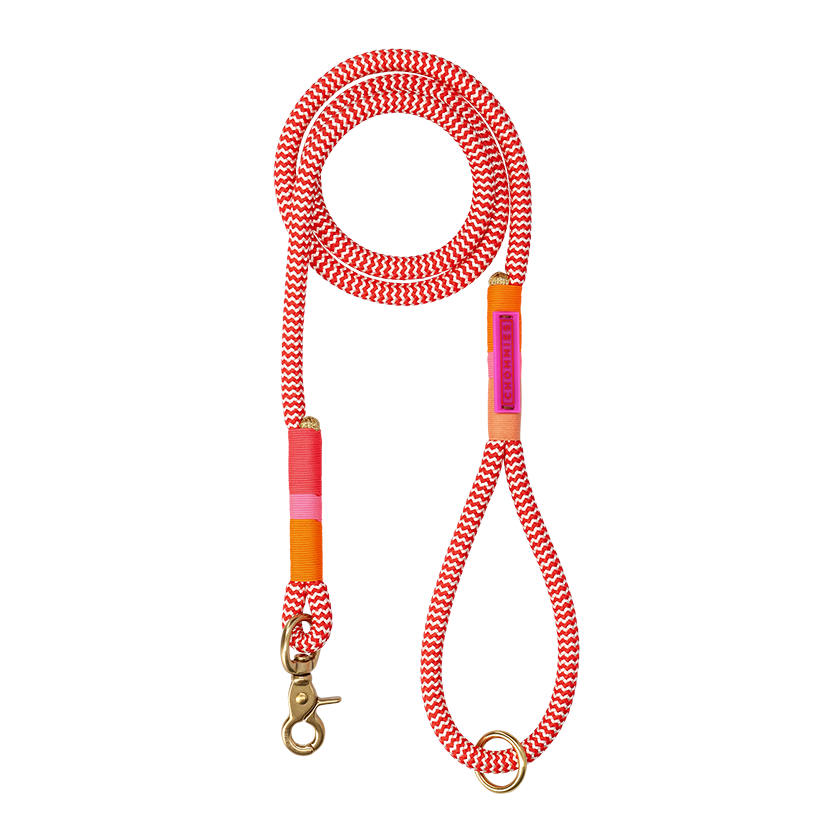 Everyday Dog Leash | Rope