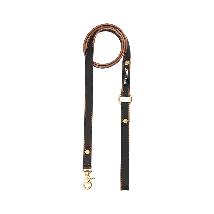 Everyday Dog Leash | Leather