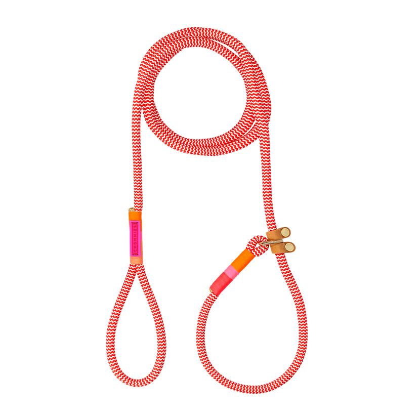 Slip-On Dog Leash