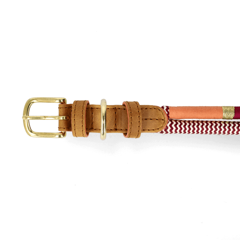 Adjustable Dog Collar | Autumn