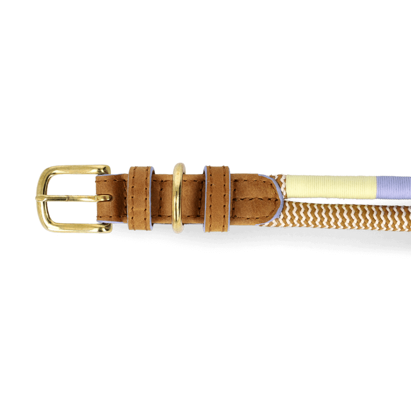 Adjustable Dog Collar | Summer
