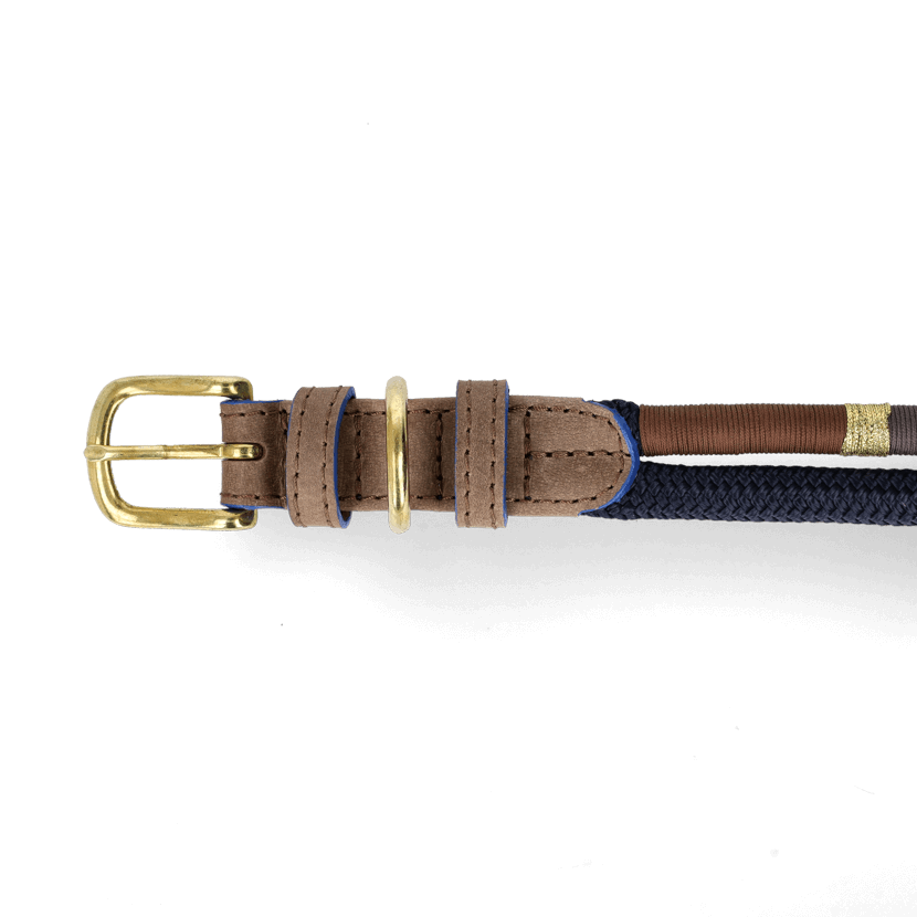 Adjustable Dog Collar | Winter