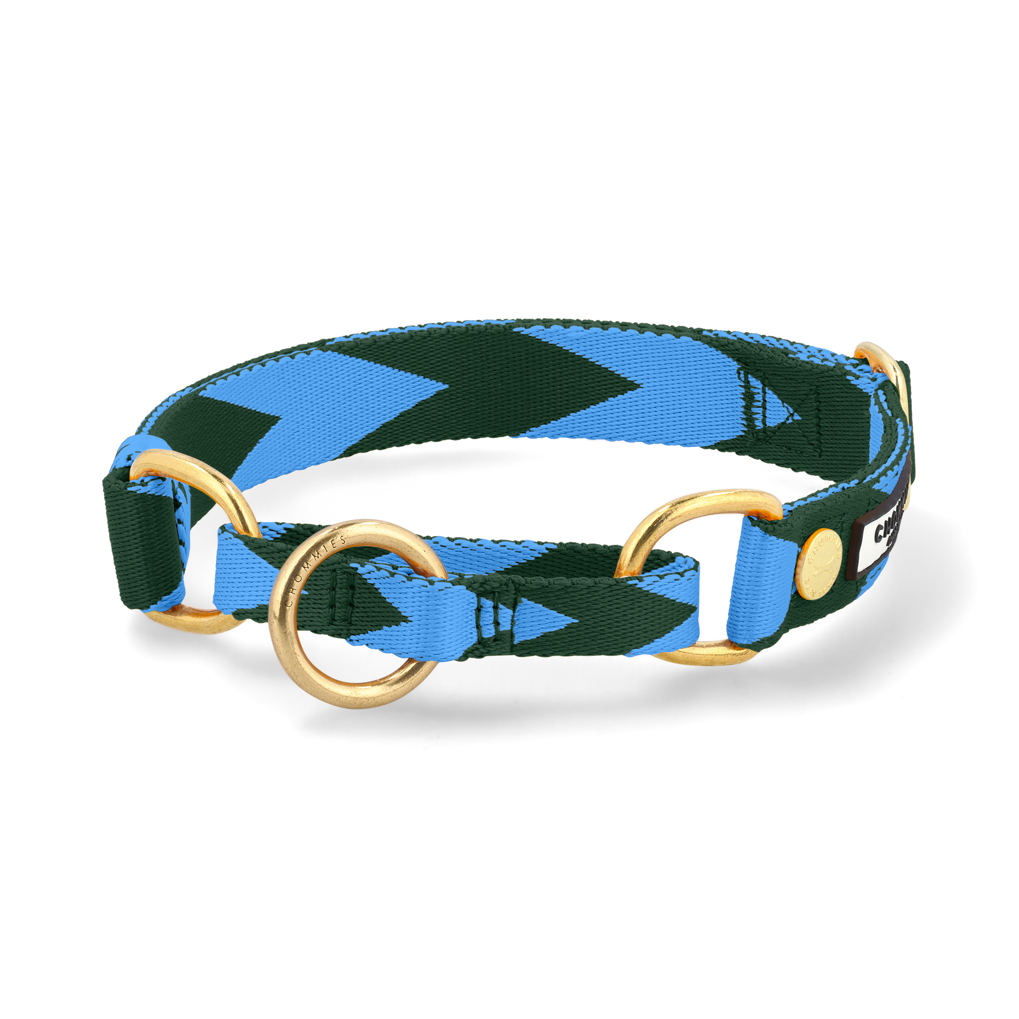 Adjustable Martingale Collar | Blue & Green