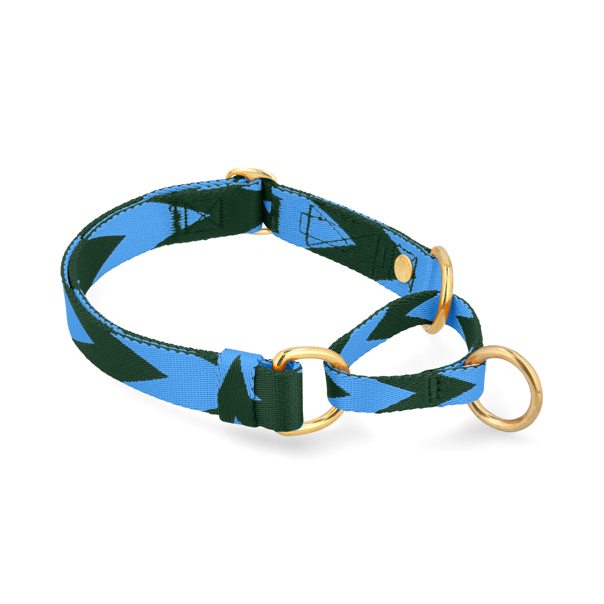 Adjustable Martingale Collar | Blue & Green