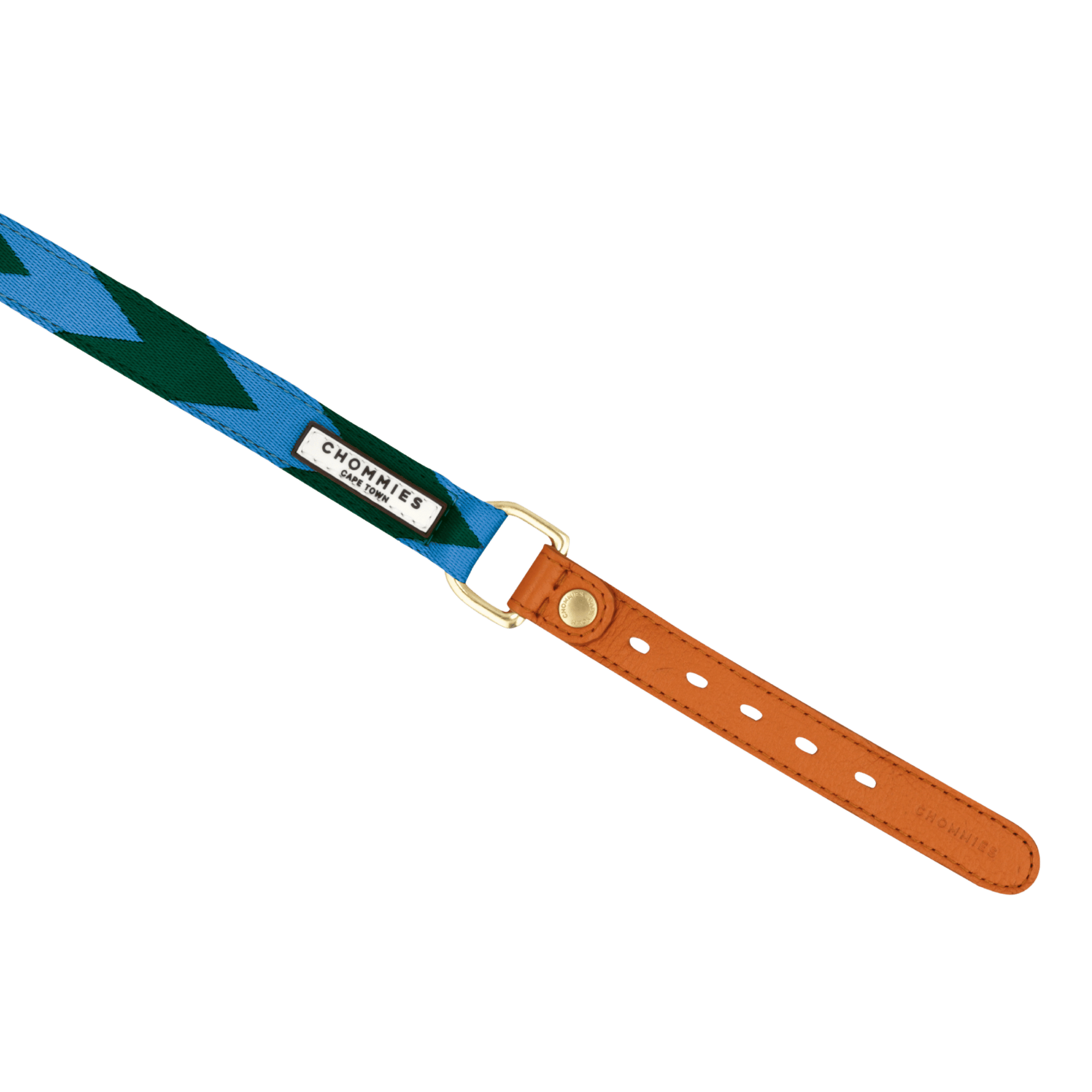 Adjustable Dog Collar | Blue & Green