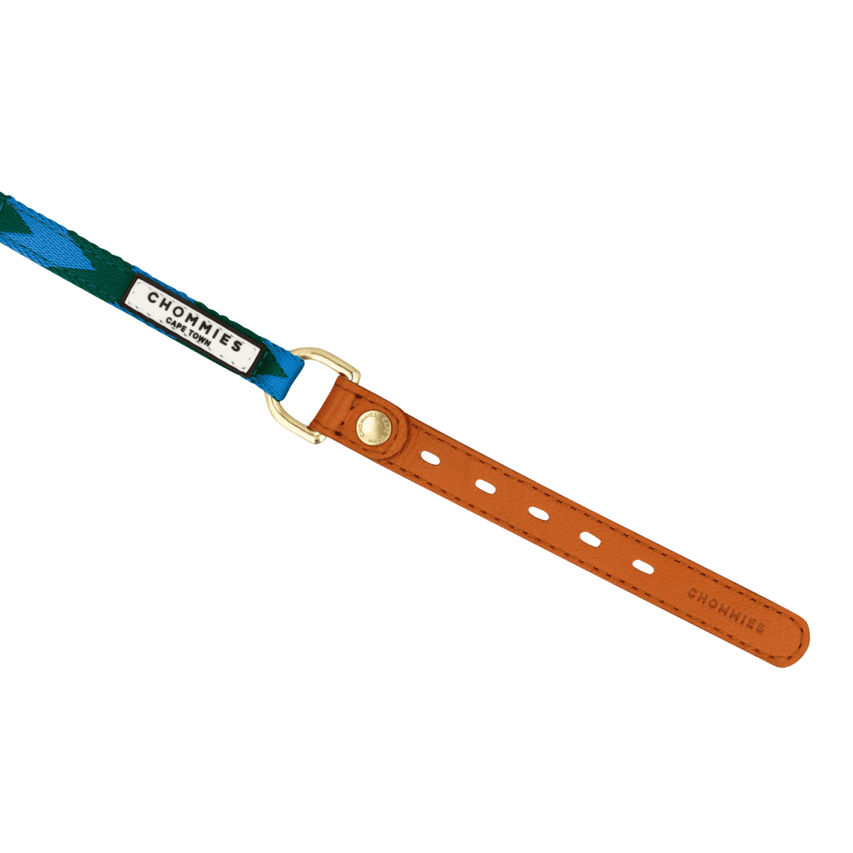 Adjustable Dog Collar | Blue & Green