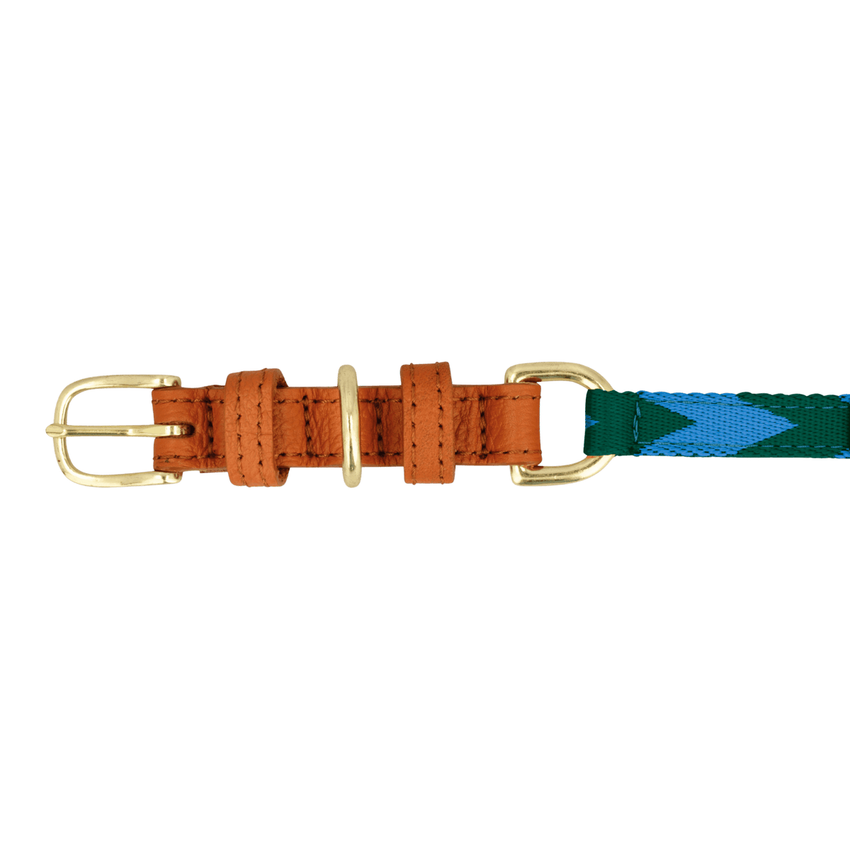 Adjustable Dog Collar | Blue & Green