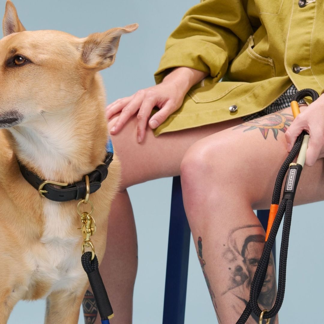 Adjustable Dog Collar | Shongololo on Black