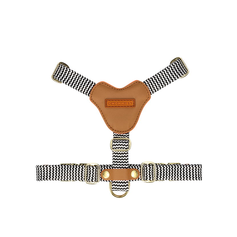 Adjustable Dog Harness | Leather