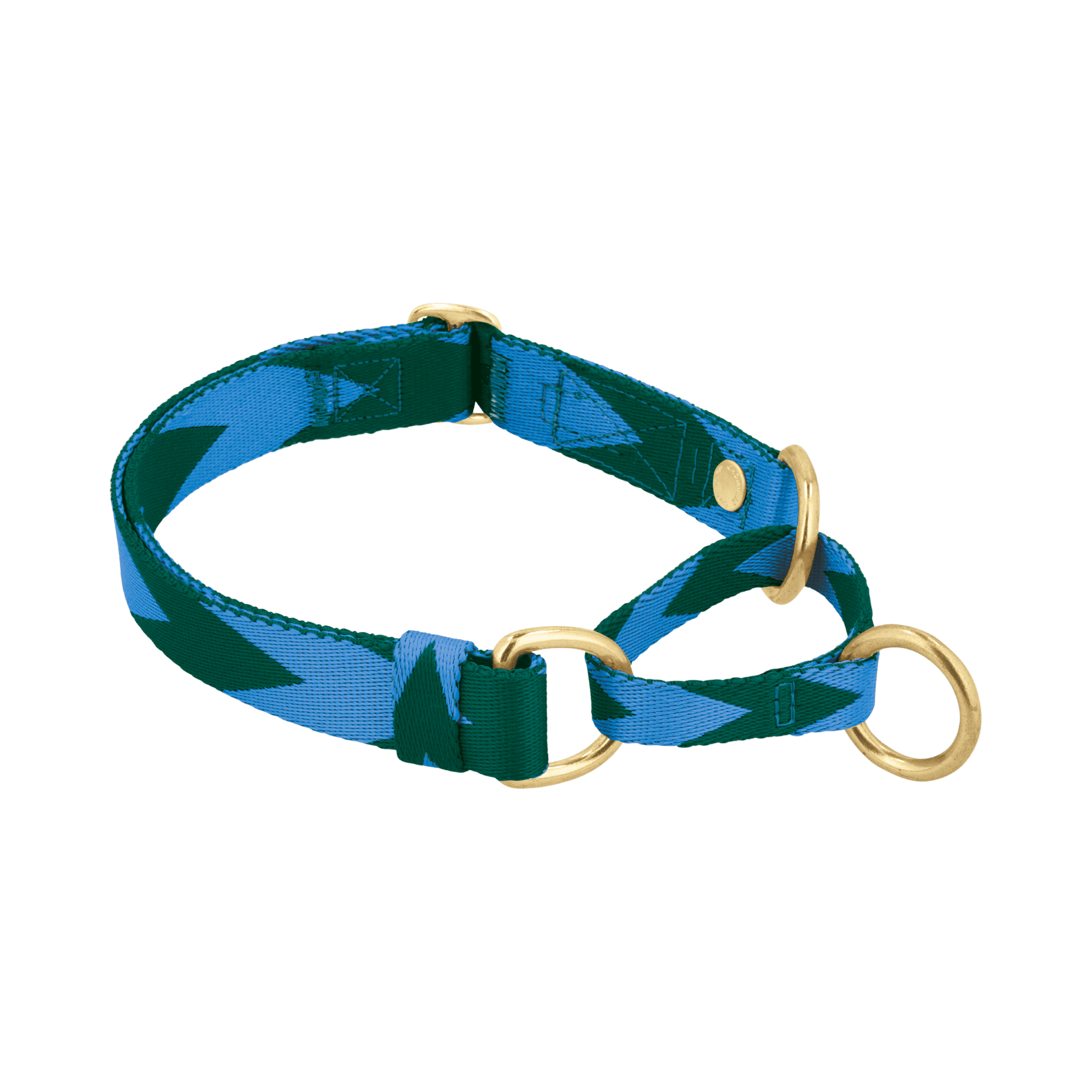 Adjustable Martingale Collar | Blue & Green