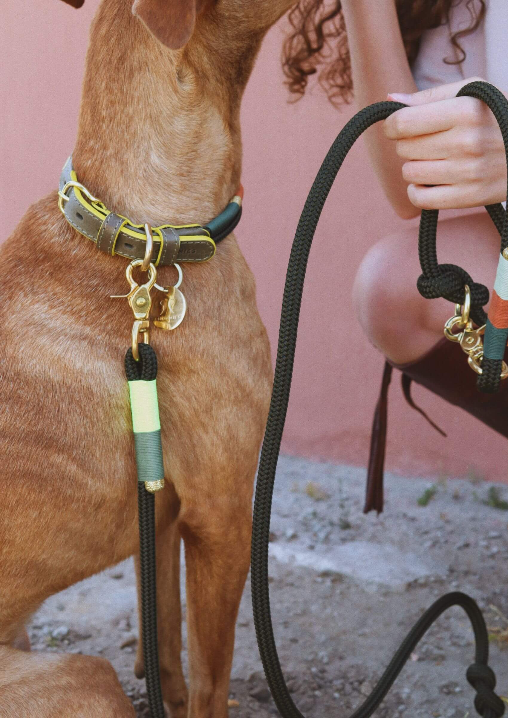 Chommies Hands-Free Dog Leash | Glow Bokkie on Olive