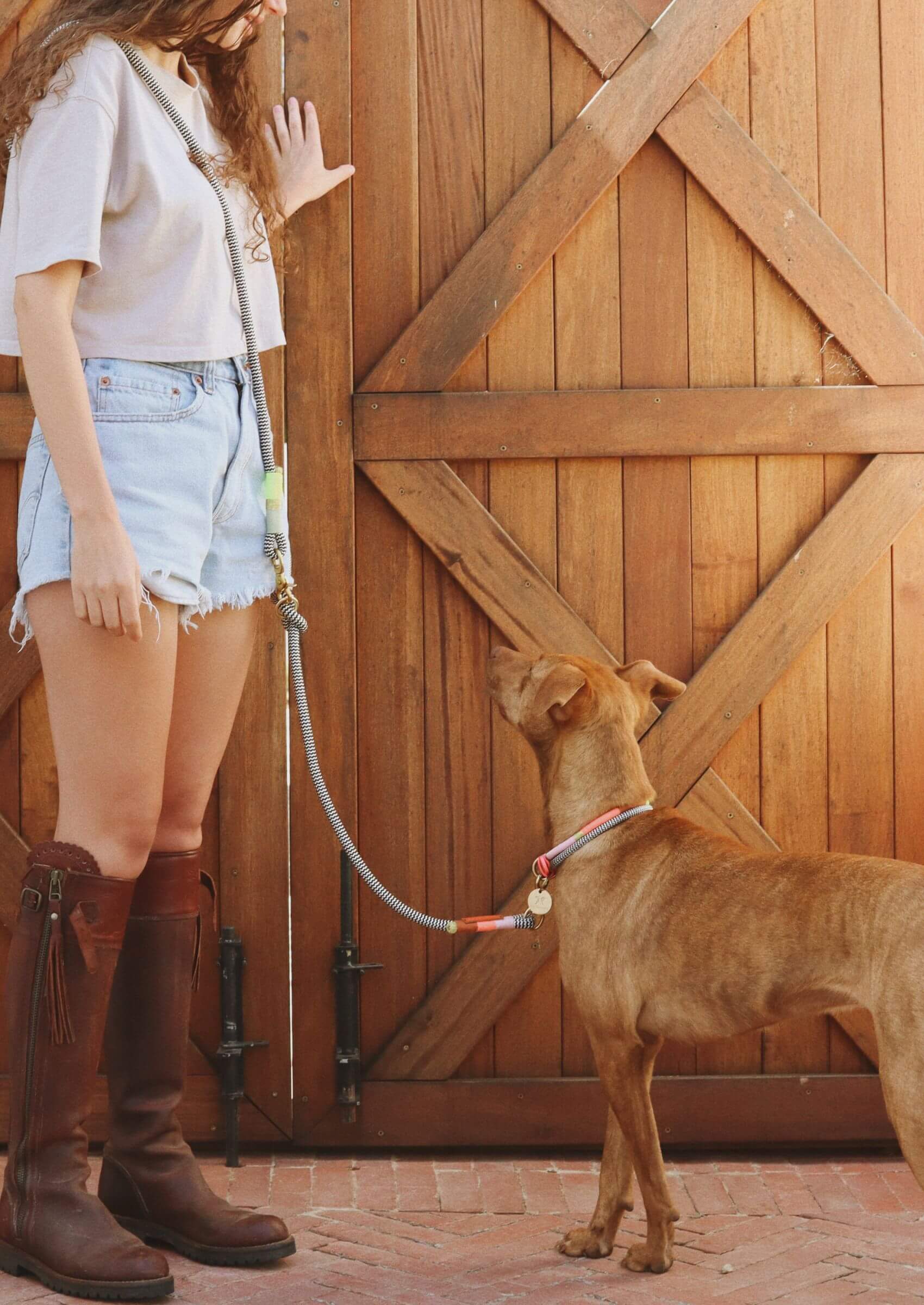 Hands-Free Dog Leash | Popsicle