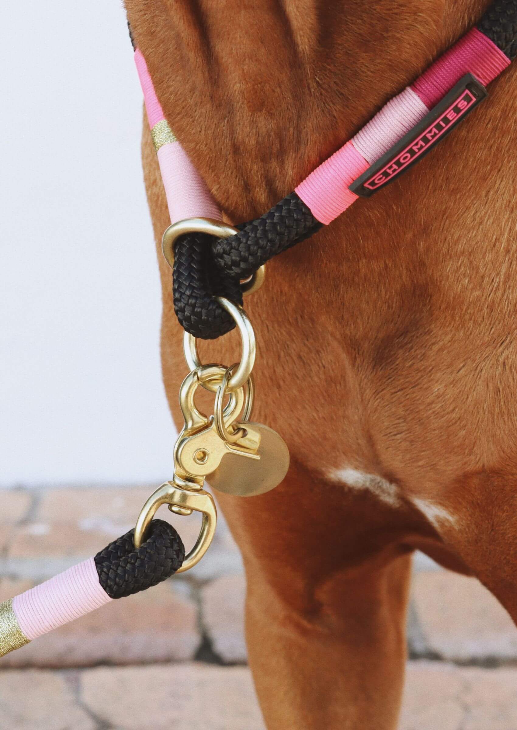 Chommies O-Ring Choker Dog Collar | Pink Acid on Black