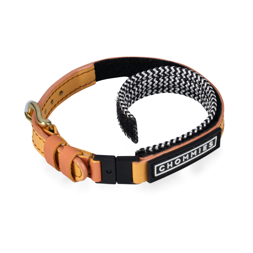 Adjustable Cat Collar | Rooibos