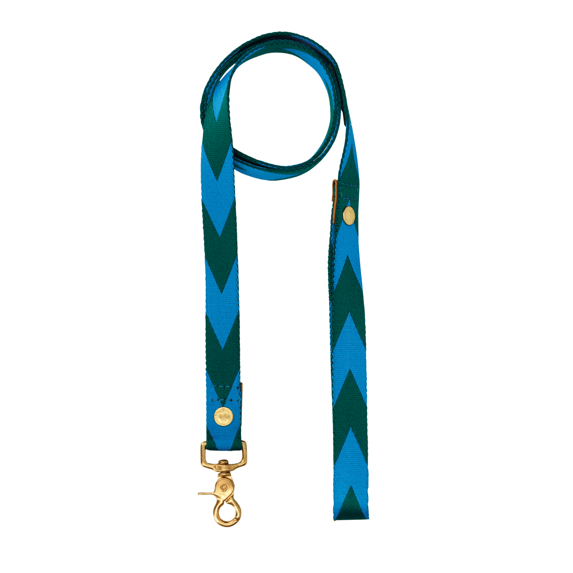 Everyday Leash | Blue & Green