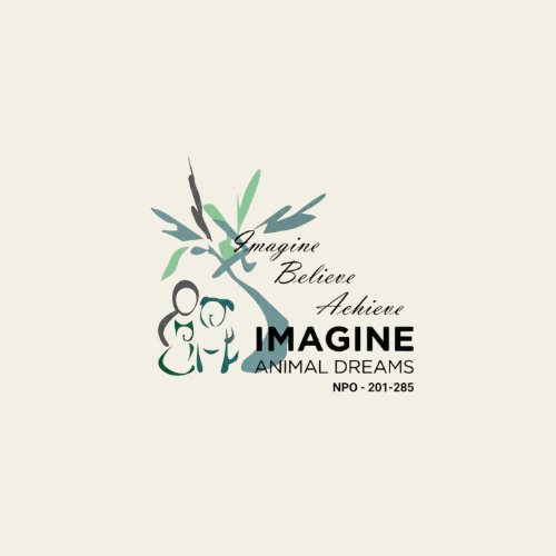 Imagine Animal Dreams