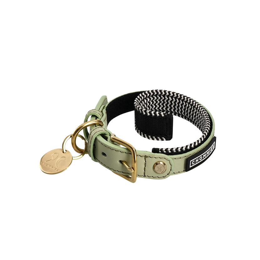Adjustable Leather Dog Collar | Buchu