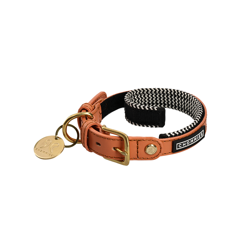 Adjustable Leather Dog Collar | Apricot