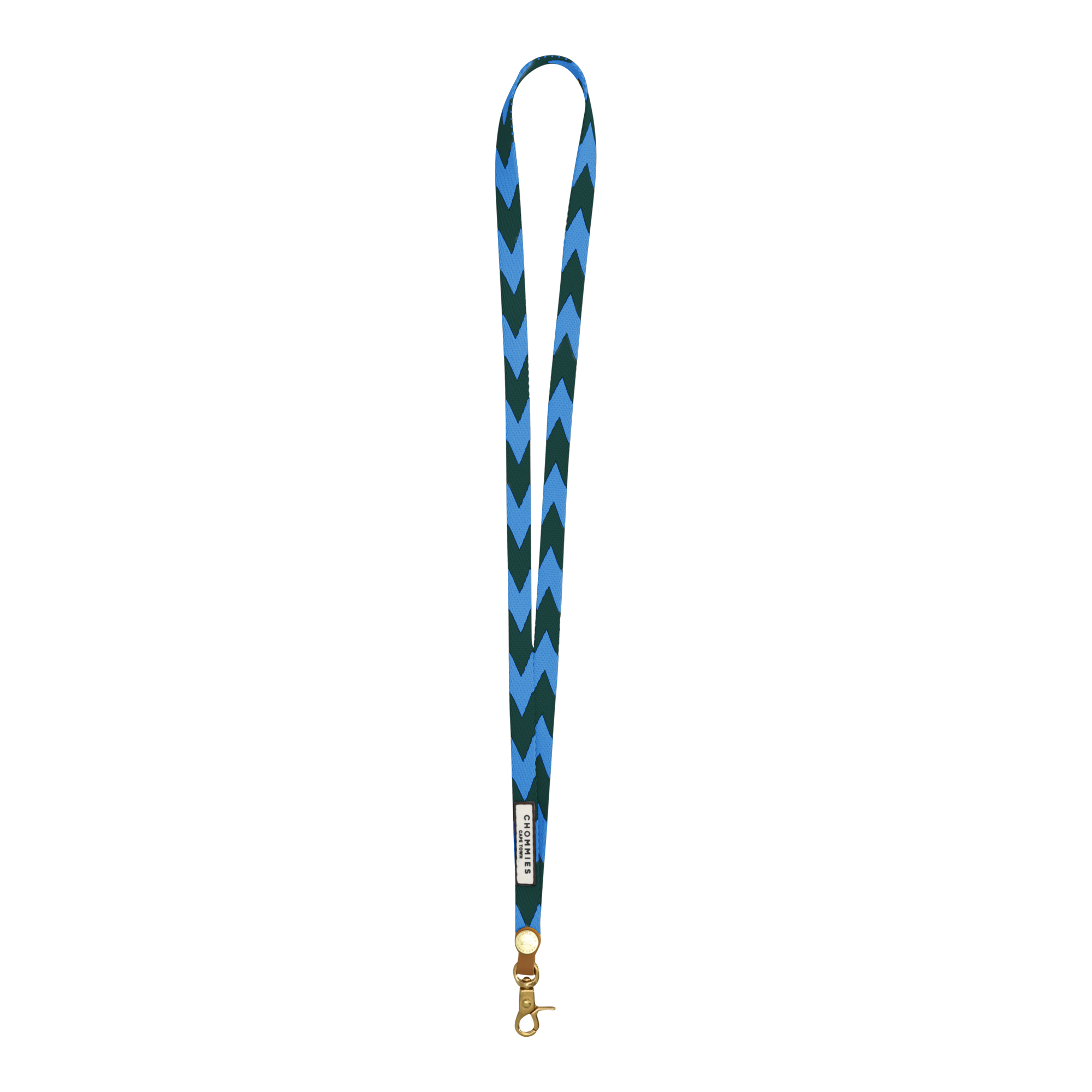Lanyard | Blue & Green