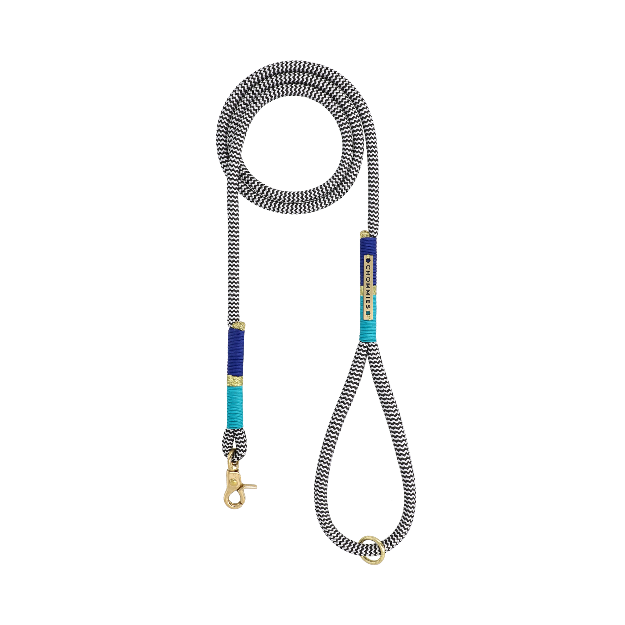 Everyday Puppy Leash | Moon & Back