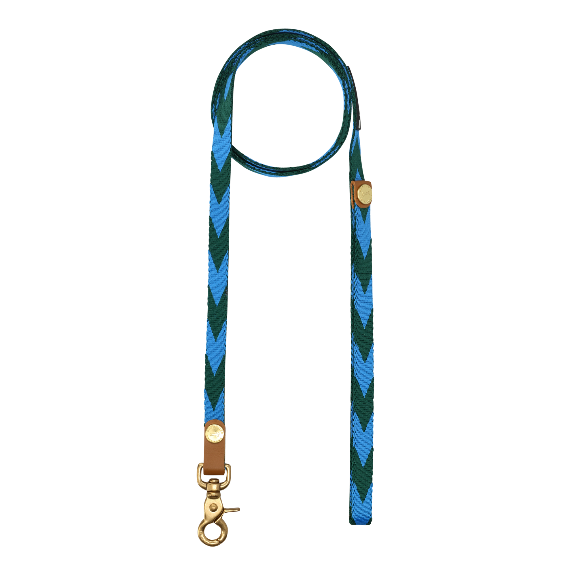 Everyday Leash | Blue & Green