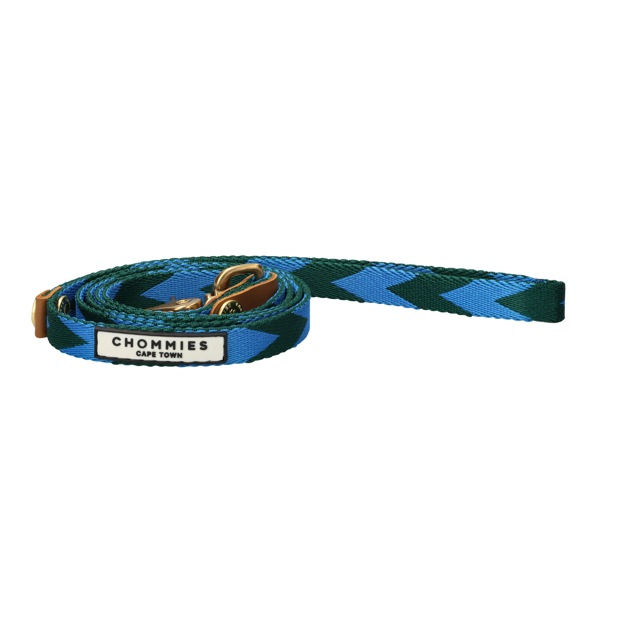 Everyday Leash | Blue & Green