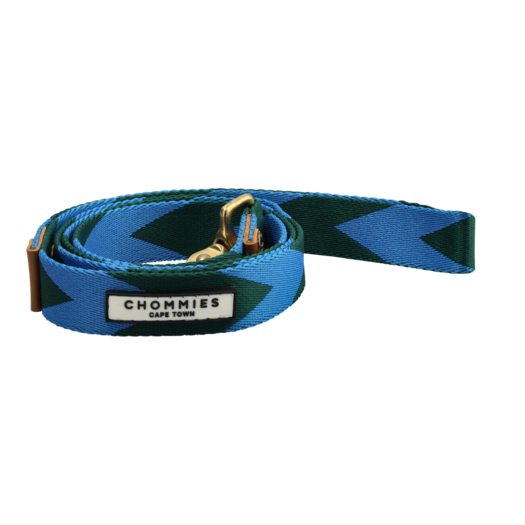 Everyday Leash | Blue & Green