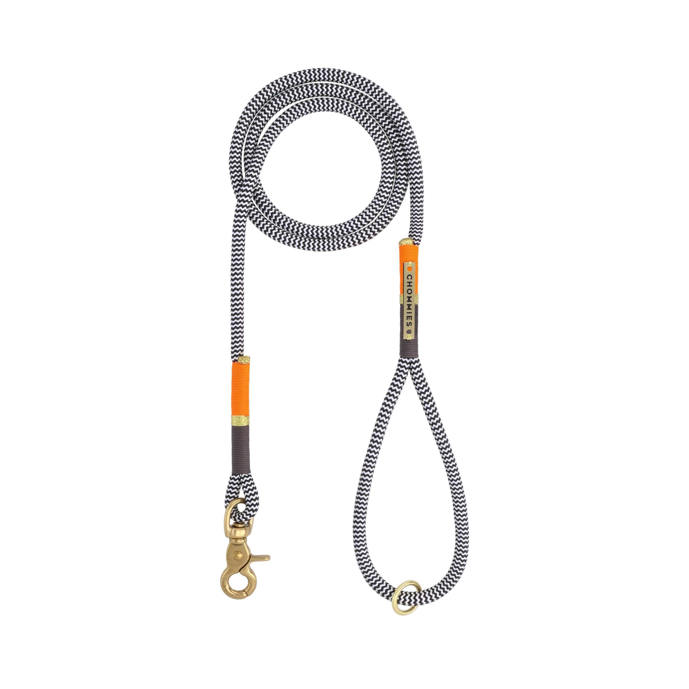 Everyday Sighthound Leash | Notorious Neon