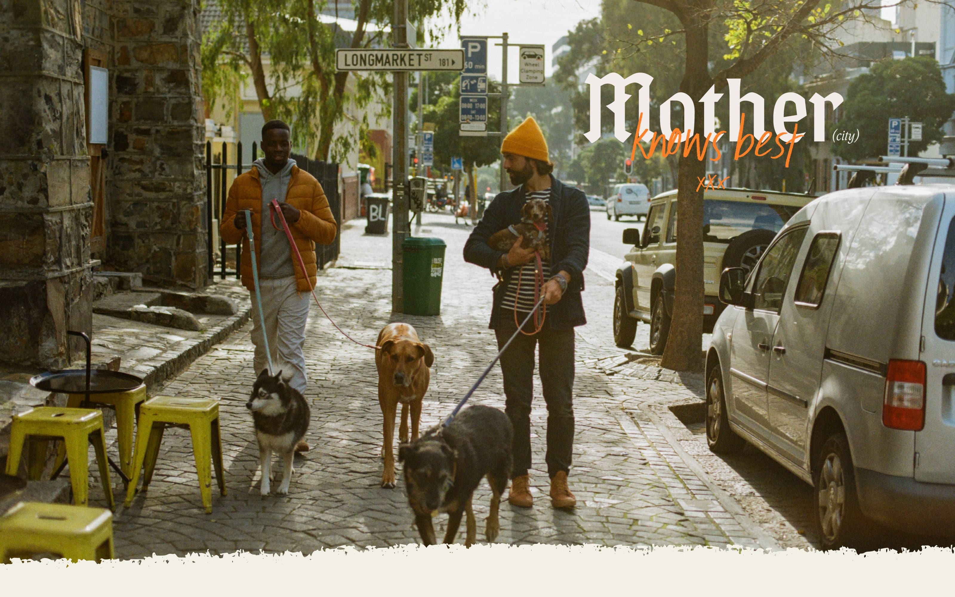 Chommies Mother City Collection Leather Dog accessories