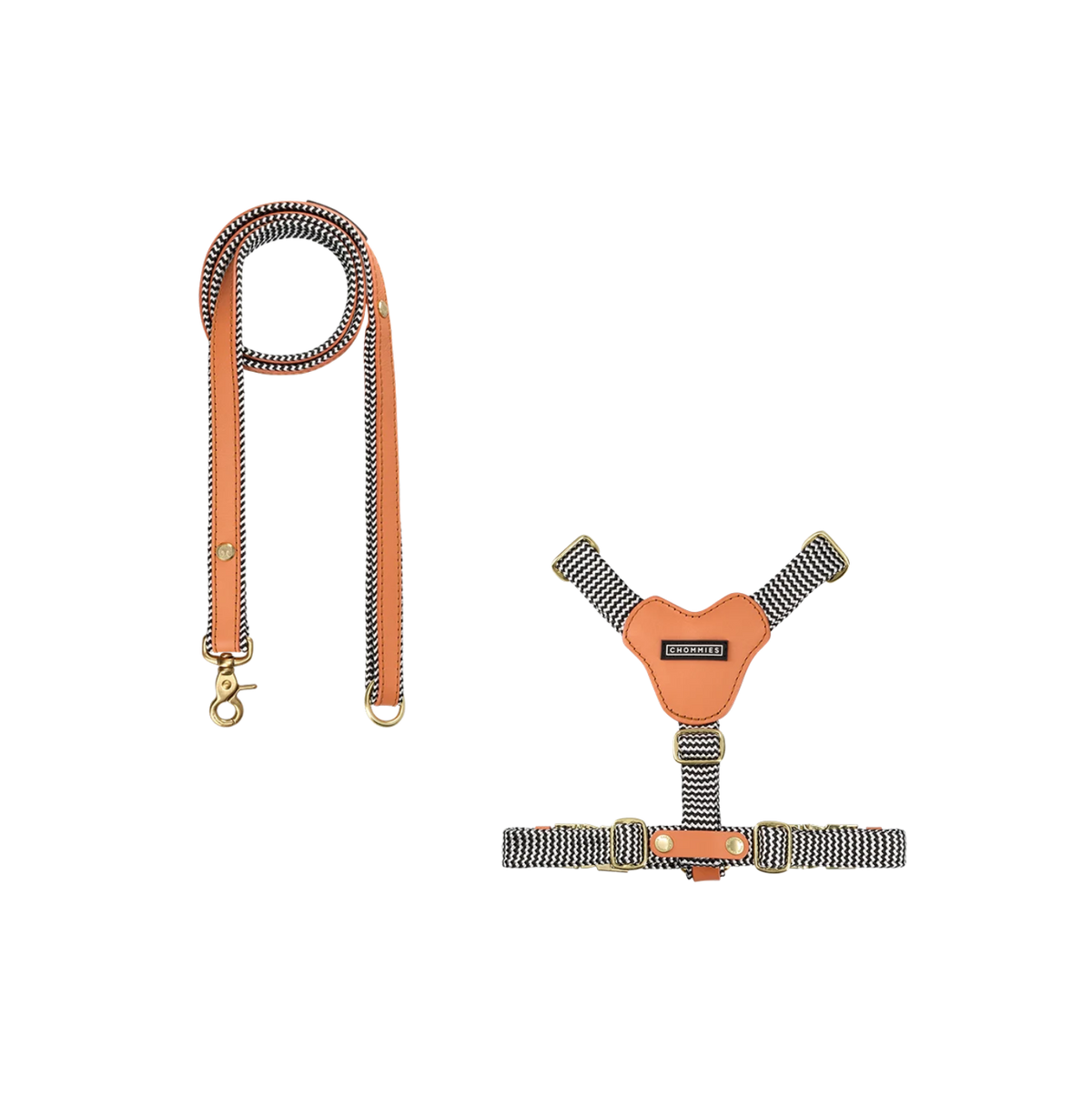 Dog Harness & Leash Bundle | Apricot