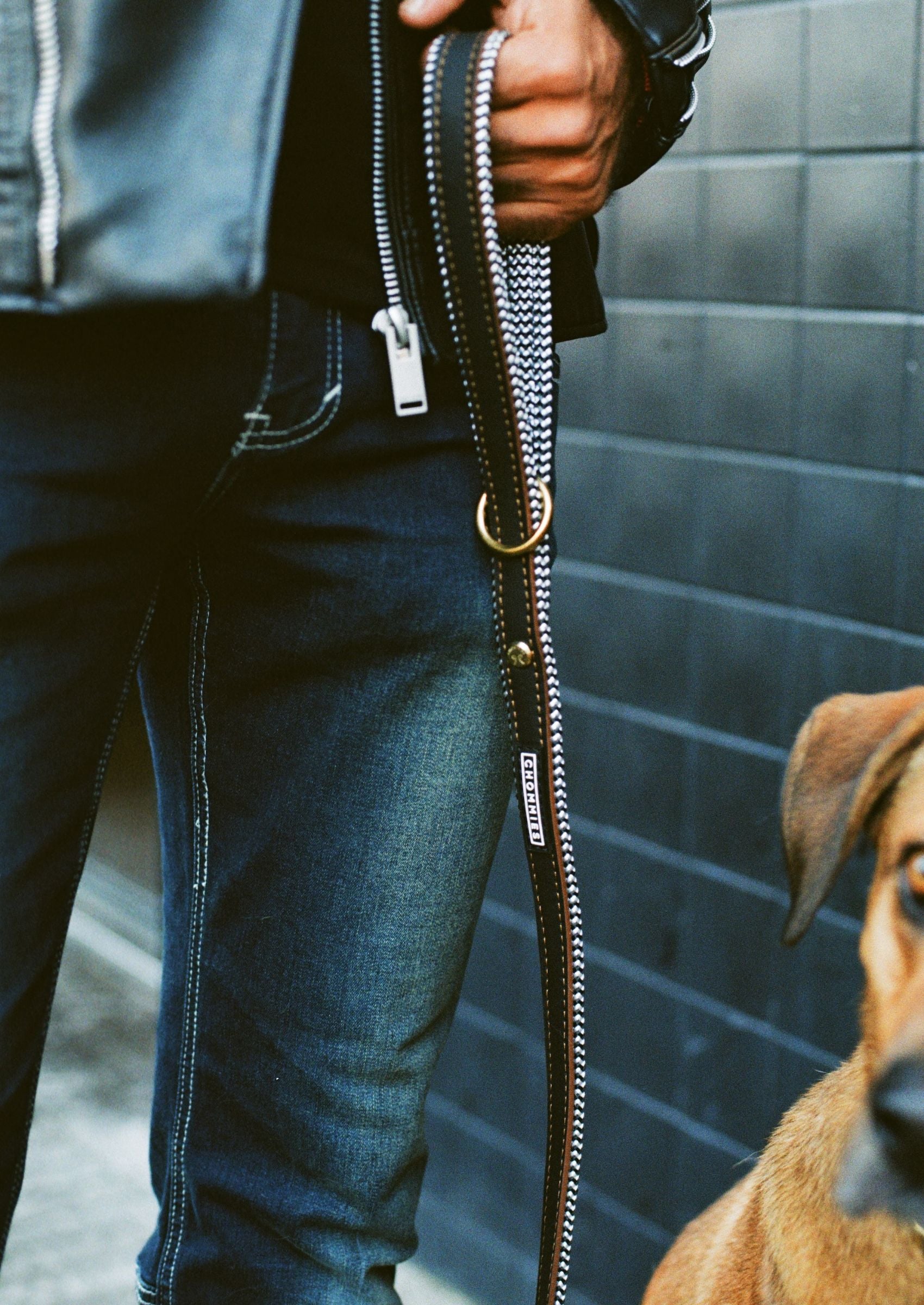 Everyday Leather Dog Leash | Hendrix