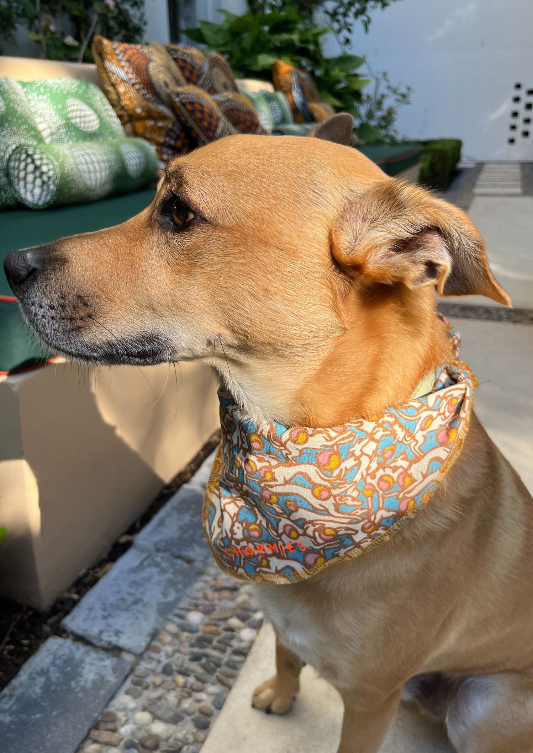 Dog Bandana | Speel Speel