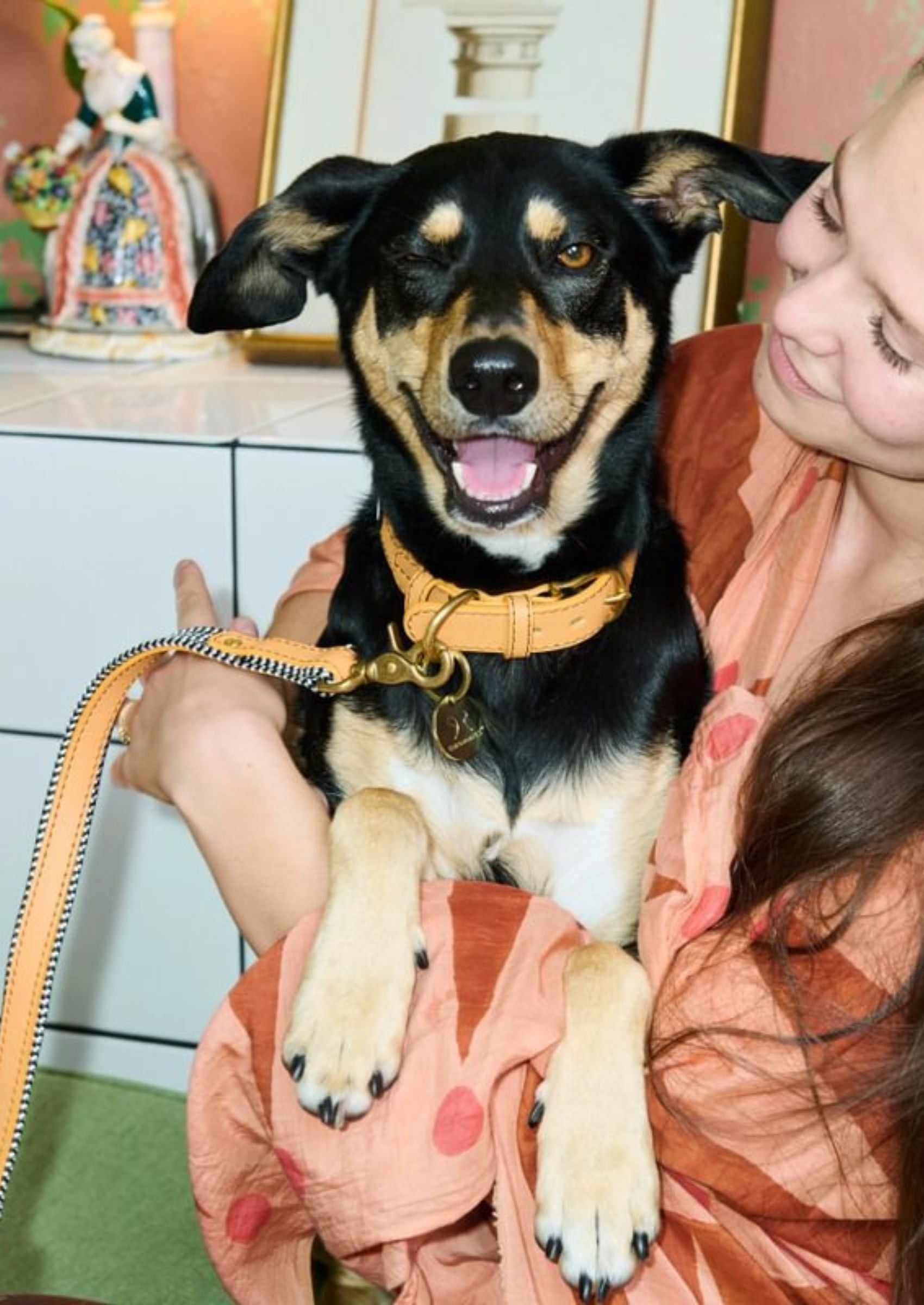 Adjustable Leather Dog Collar | Kumquat