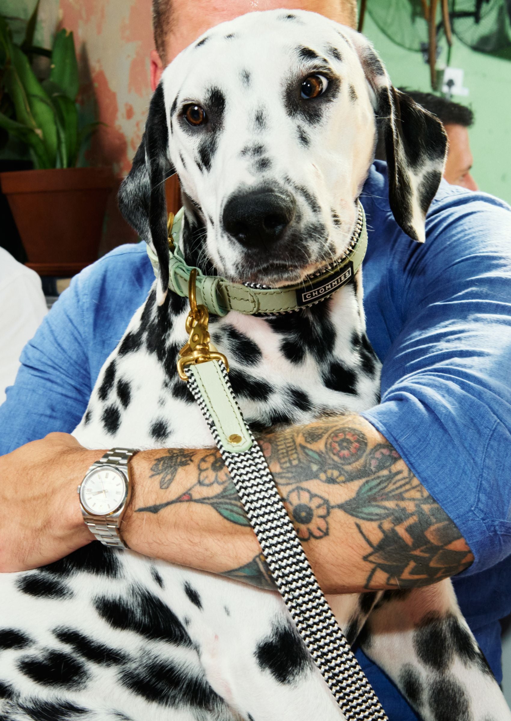 Adjustable Leather Dog Collar | Buchu