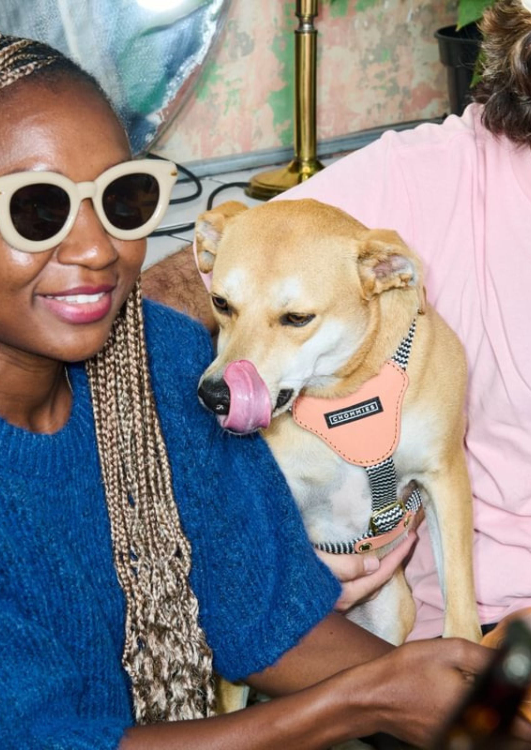 Leather Dog Harness | Apricot