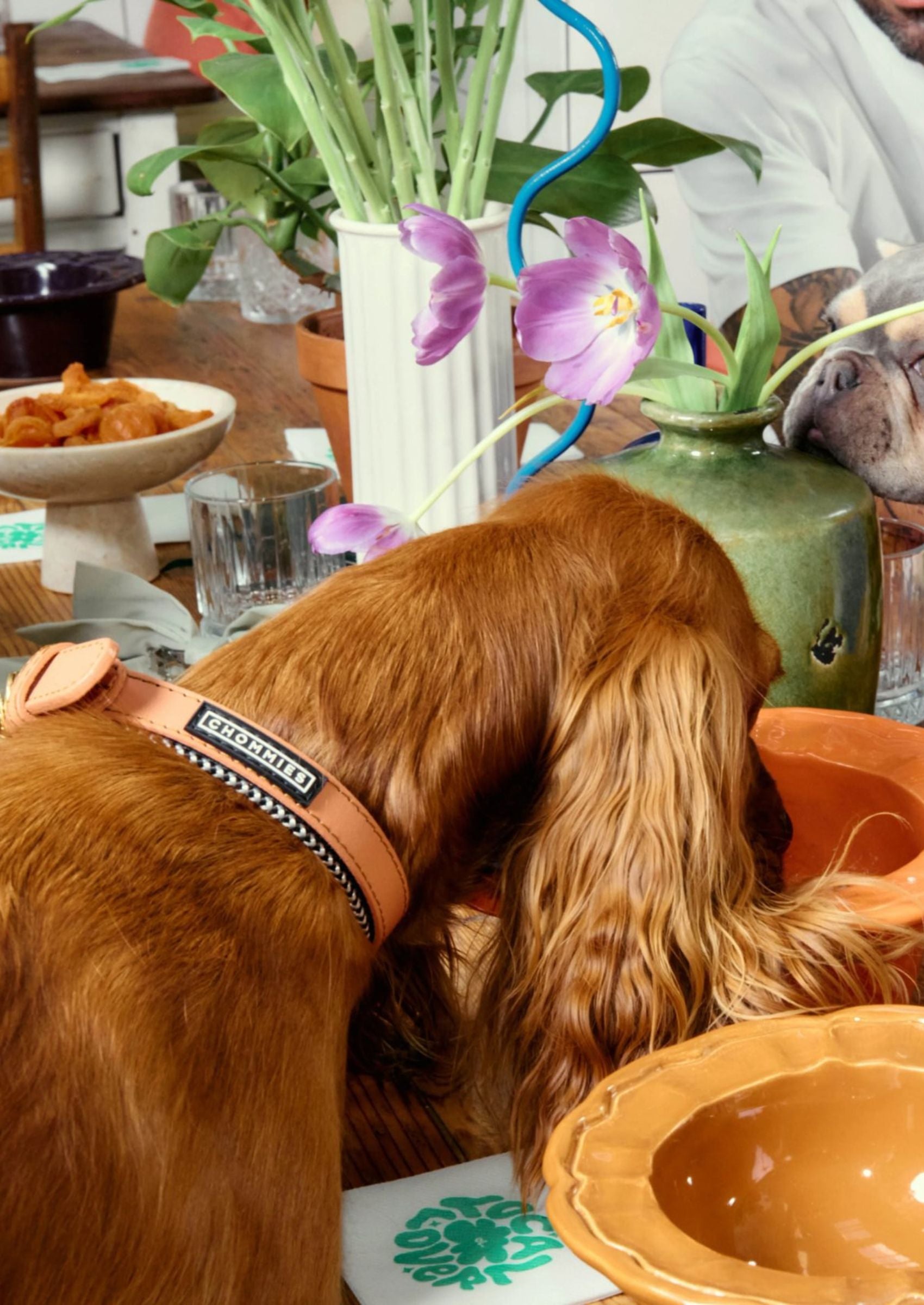 Adjustable Leather Dog Collar | Apricot