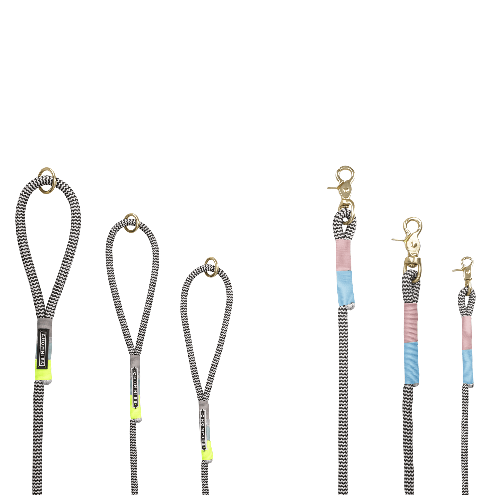 Everyday Dog Leash | Zuzu