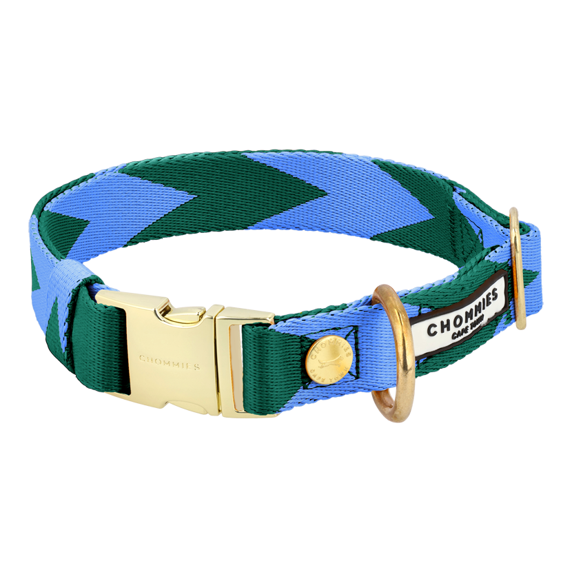 Adjustable Quick-Release Collar | Blue & Green
