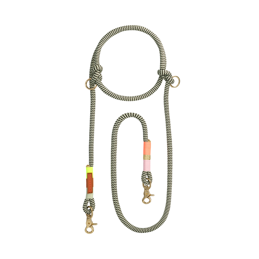 Hands-Free Dog Leash | Rope