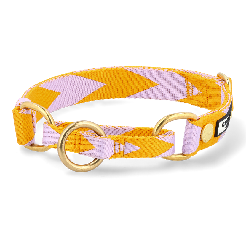 Adjustable Martingale Collar | Lilac & Yellow