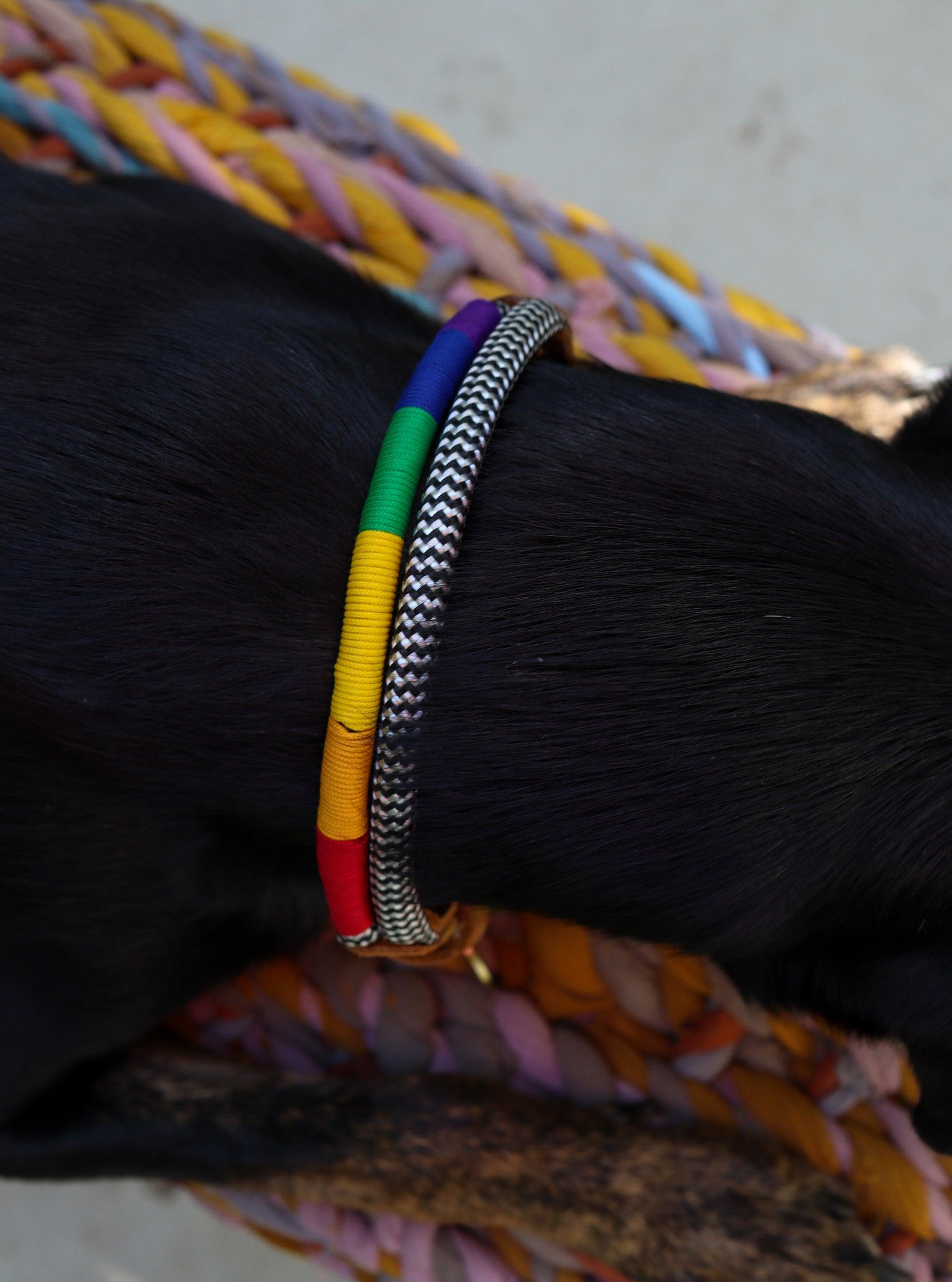 Chommies Adjustable Dog Collar | Rainbow