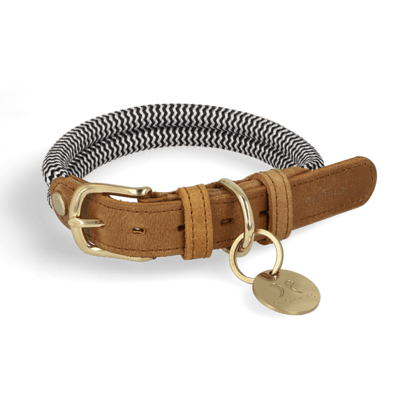 adjustable-dog-collar-sandton-