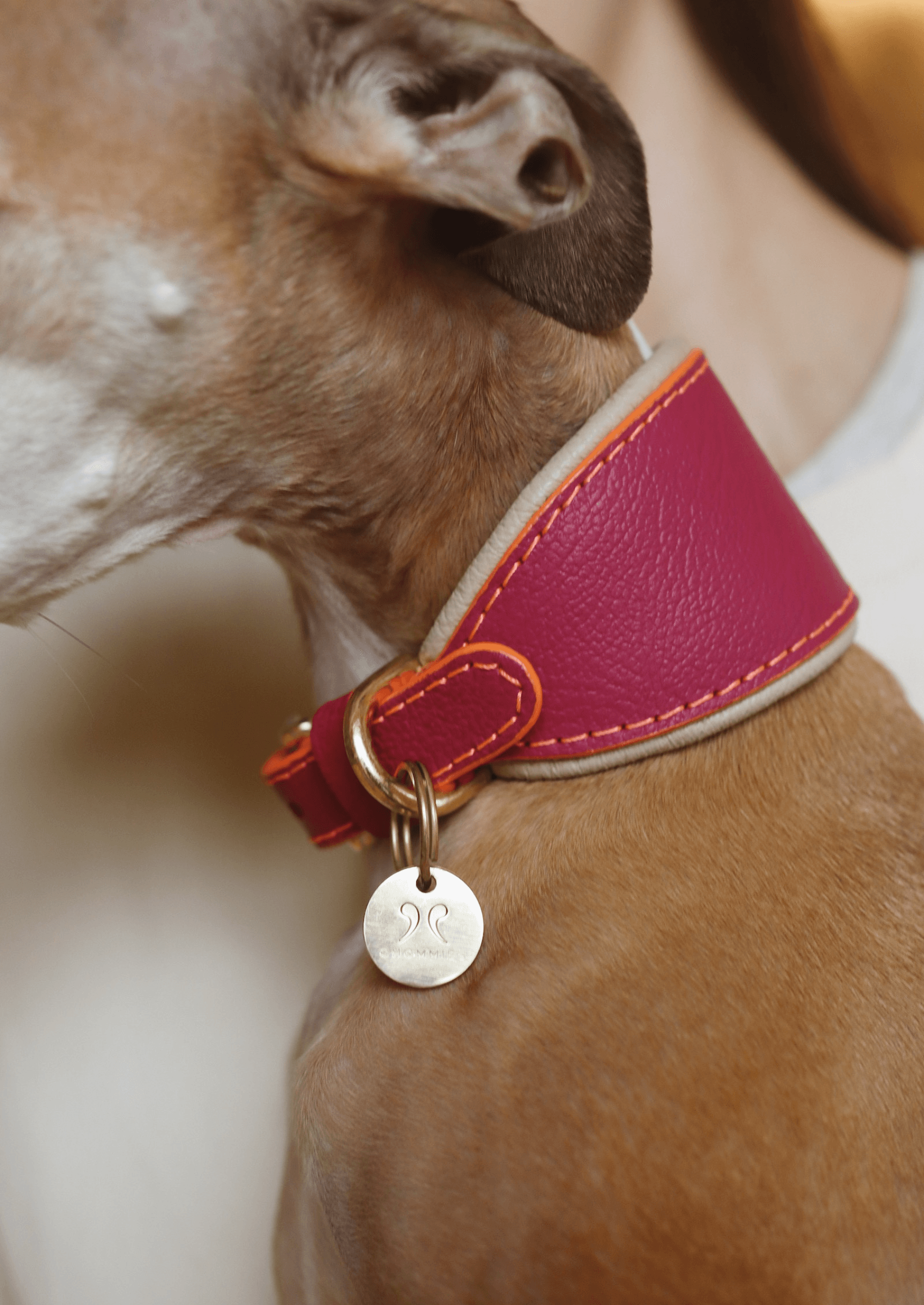 Chommies Adjustable Leather Sighthound Collar | Pink Lizzo