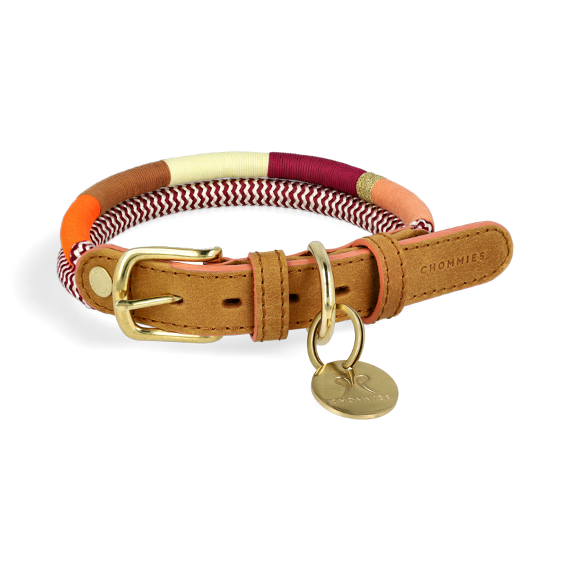 Chommies Adjustable Dog Collar Autumn Cape Town's Colourful