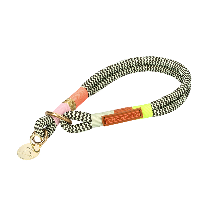 Slip-On Dog Collar
