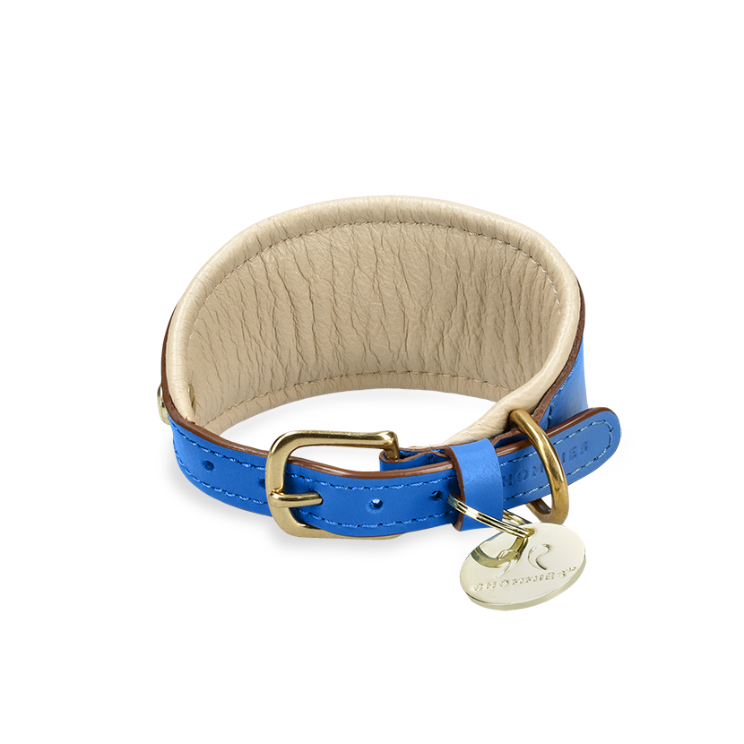 Adjustable Dog Collar | Sighthound