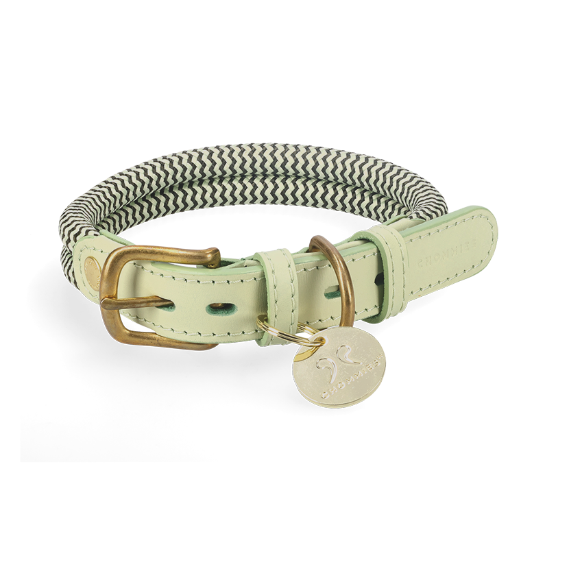 Adjustable Dog Collar | Signature